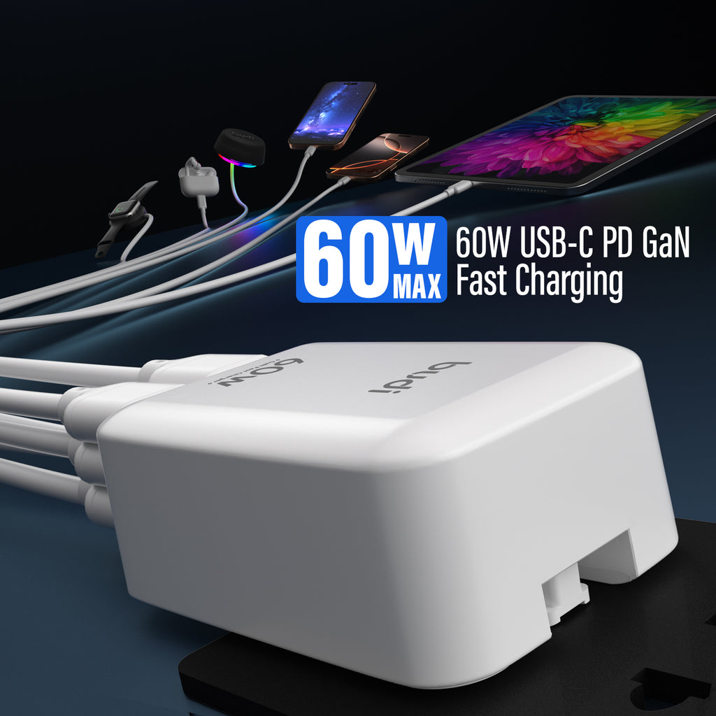 Budi Wall Charger, 60W (AC319W)
