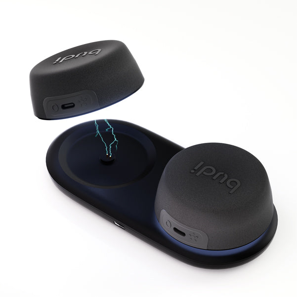 Budi Speaker, 6W, 600 mAh, Black (SP15B)