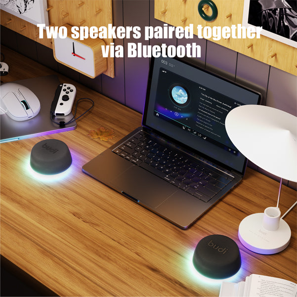 Budi Speaker, 6W, 600 mAh, Black (SP15B)