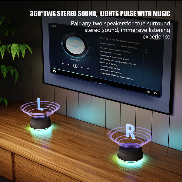 Budi Speaker, 6W, 600 mAh, Black (SP15B)